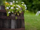 I 3 vantaggi della nostra pensione a 3 fiori