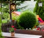 Garten mit Blick zum kleinen Kinderspielplatz