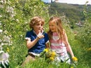 Vacanze rilassanti per tutta la famiglia
