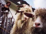 Spiel & Spaß für Kinder in Algund, Meran und Umgebung...