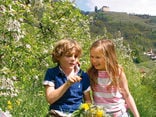 Kinderpreise & Ermässigungen