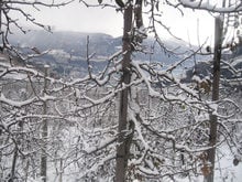 Neujahrswünsche & erster Schneefall in diesem Winter