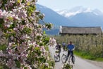 Frühlingserwachen