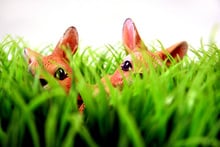 Ein frohes Osterfest...